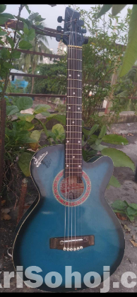 Signature guitar